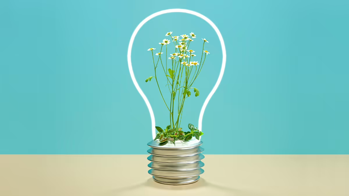 NNOCCI_lightbulb.png