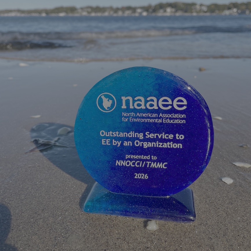 OSEE%20Outstanding%20Service%20to%20Environmental%20Education%20Award(1).jpg